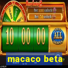 macaco beta