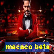 macaco beta