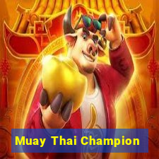 Muay Thai Champion