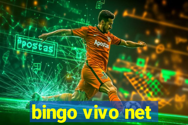 bingo vivo net