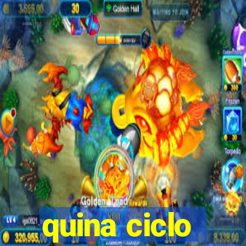 quina ciclo