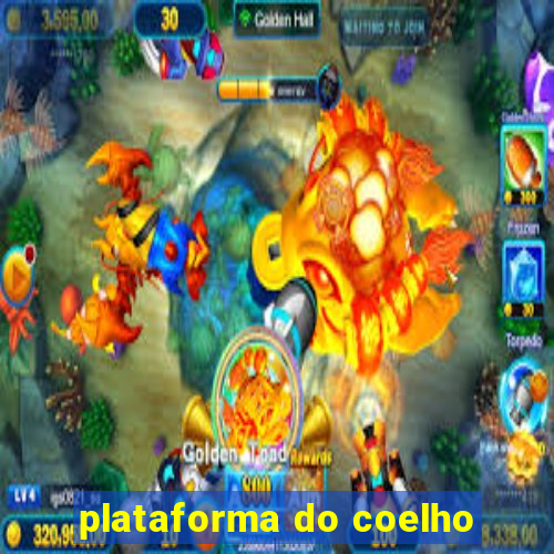 plataforma do coelho