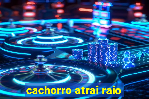 cachorro atrai raio