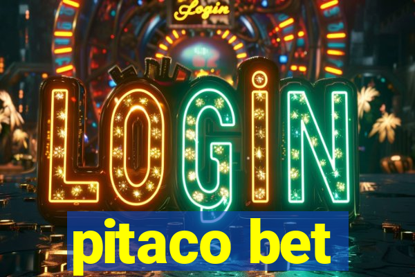 pitaco bet