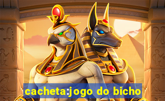 cacheta:jogo do bicho