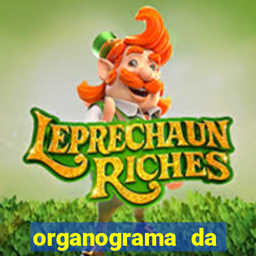 organograma da cacau show