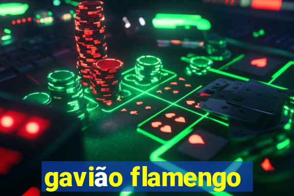 gavião flamengo