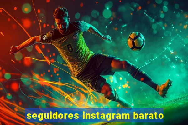 seguidores instagram barato