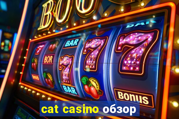 cat casino обзор