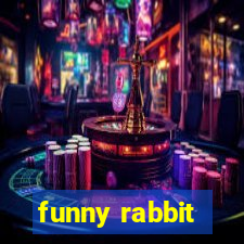 funny rabbit