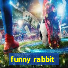 funny rabbit