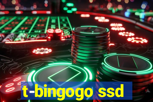 t-bingogo ssd