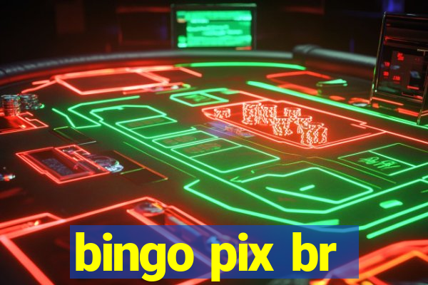 bingo pix br