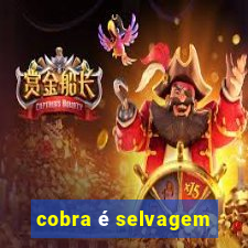 cobra é selvagem