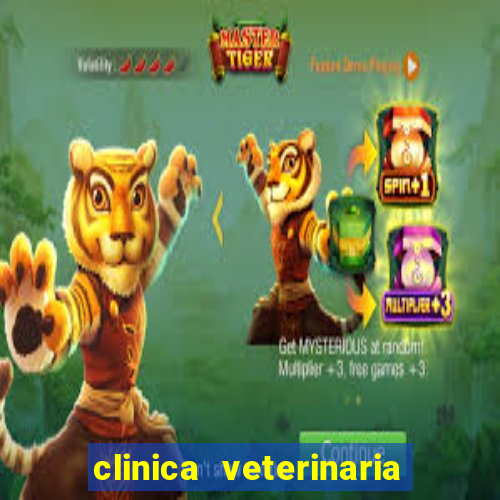 clinica veterinaria cuidar betim