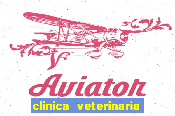 clinica veterinaria cuidar betim