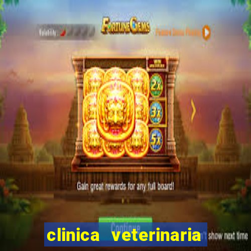 clinica veterinaria cuidar betim