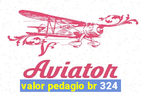 valor pedagio br 324