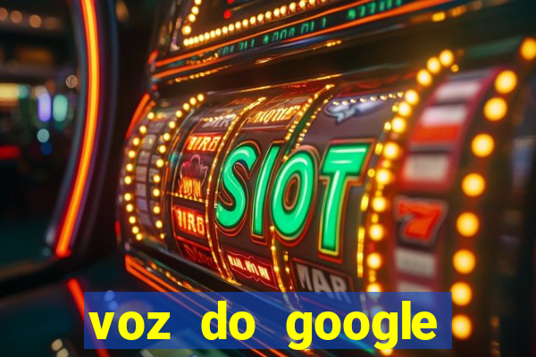 voz do google tradutor homem