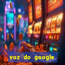 voz do google tradutor homem