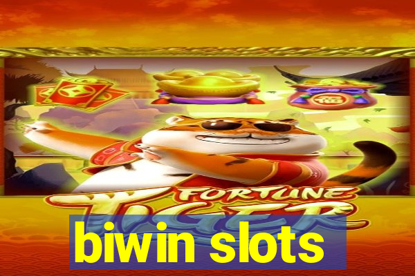 biwin slots