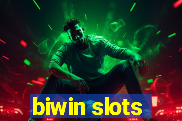 biwin slots