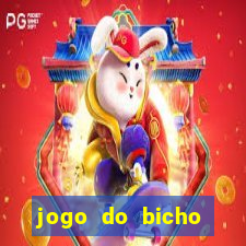 jogo do bicho esporte da sorte