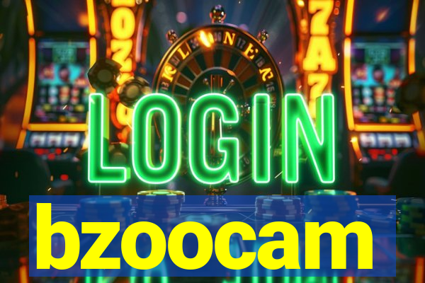 bzoocam