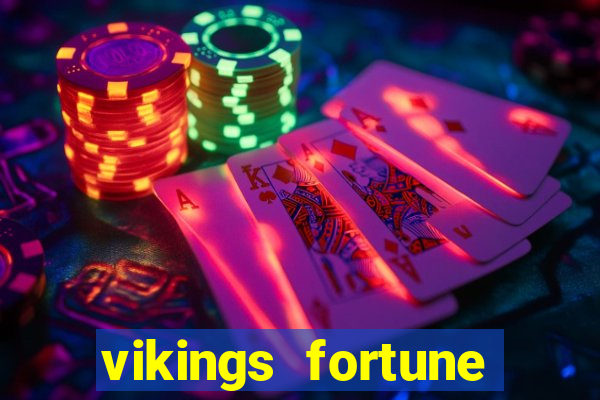 vikings fortune hold and win slot