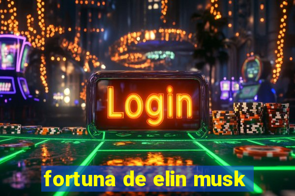 fortuna de elin musk