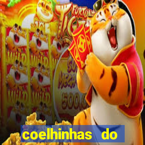 coelhinhas do brasil acompanhantes