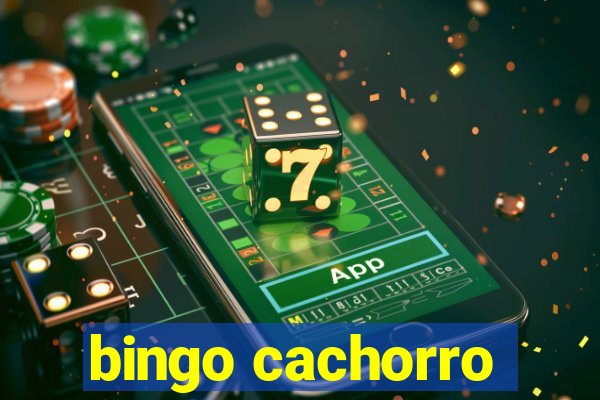 bingo cachorro