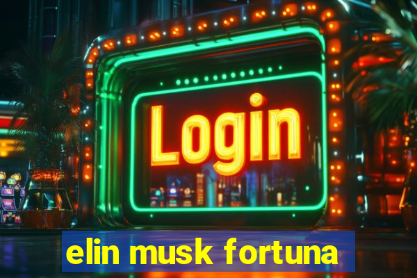 elin musk fortuna