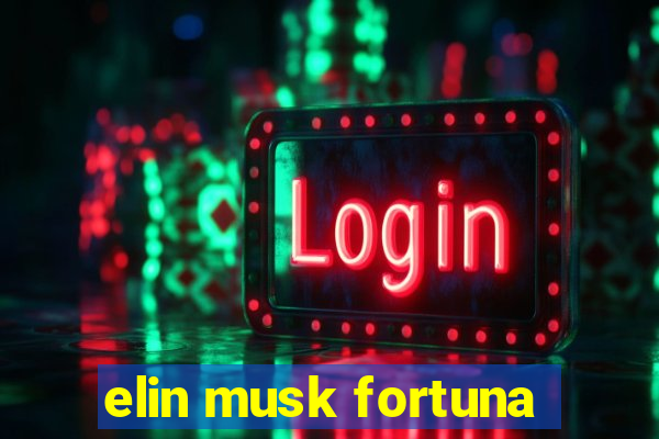 elin musk fortuna