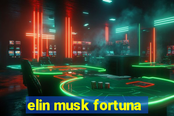 elin musk fortuna