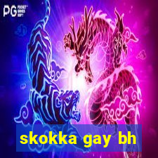 skokka gay bh