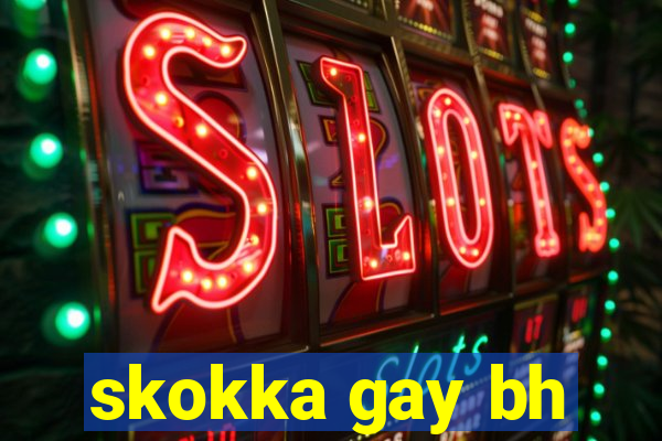 skokka gay bh