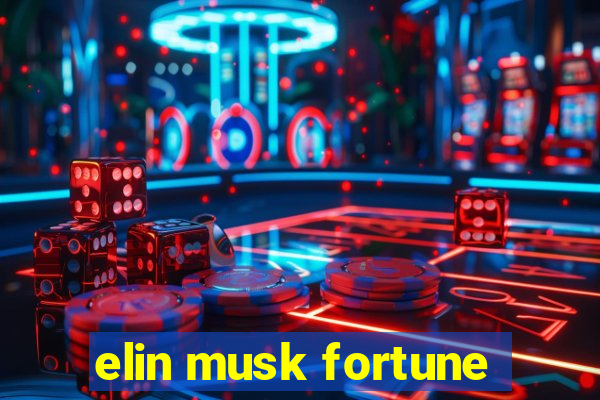 elin musk fortune