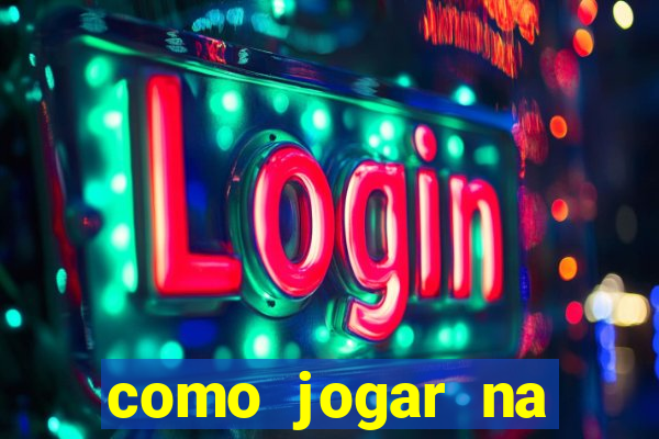 como jogar na lotinha do jogo do bicho