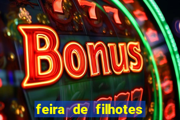 feira de filhotes porto alegre