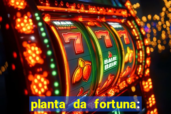 planta da fortuna: como cuidar