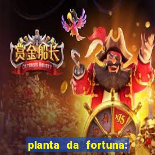 planta da fortuna: como cuidar