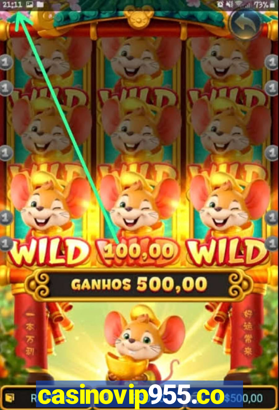 casinovip955.com