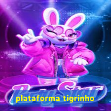 plataforma tigrinho