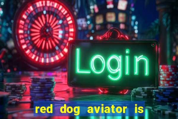 red dog aviator is real or fake