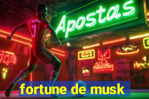 fortune de musk