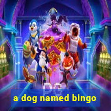 a dog named bingo