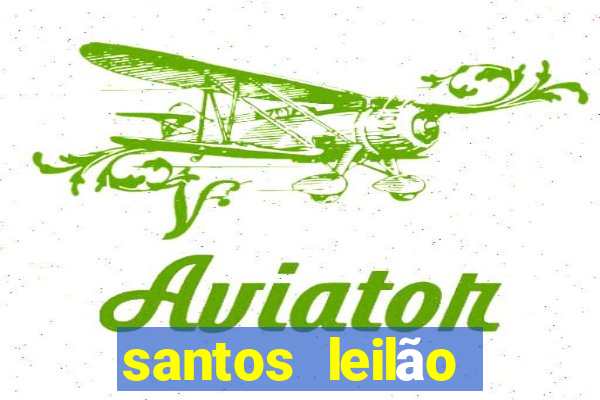 santos leilão passo fundo