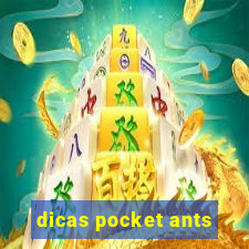 dicas pocket ants