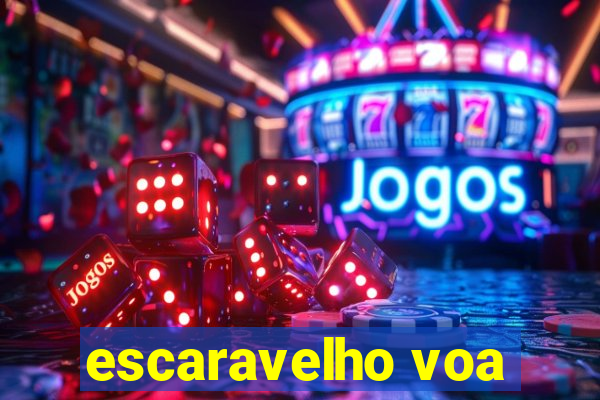 escaravelho voa